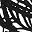 Black Flame Design