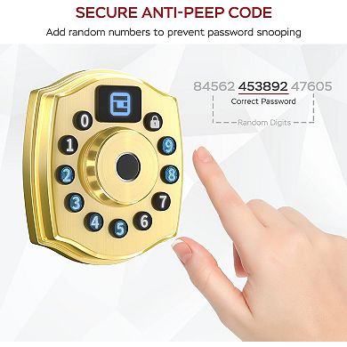 5-in-1 Aluminum Smart Pad Lock with Wi-Fi & Voice Control, Keypad, Key, Auto-Unlock & Quiet Mode