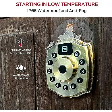 5-in-1 Aluminum Smart Pad Lock with Wi-Fi & Voice Control, Keypad, Key, Auto-Unlock & Quiet Mode