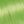 Neon Green