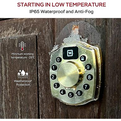 4-in-1 Aluminum Smart Pad Lock with Wi-Fi & Voice Control, Keypad, Key, Auto-Unlock & Quiet Mode