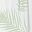 Green Palm Leaves