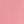 Salmon Rose