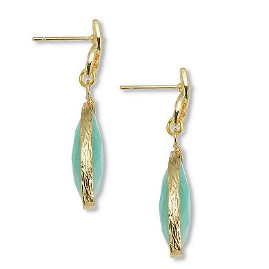 Genuine Blue Amazonite Goldtone Drop Earrings