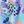 Doodle Party Blue