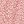 Salmon Rose Floral