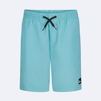 Boys 8-20 Quiksilver Everyday Liner Volley Swim Trunks