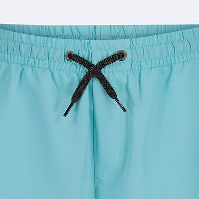 Boys 8-20 Quiksilver Everyday Liner Volley Swim Trunks