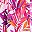 Aloha Fuchsia Leaves