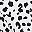 White Cheetah Dot