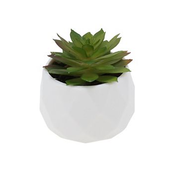 Fake Succulent Plant Type 3 for Room Bathroom Kitchen Decor 1 pc