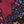Wine Red Blue Purple