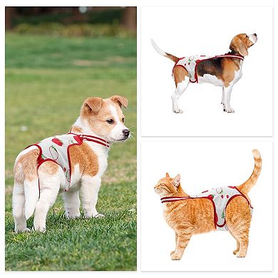 Dog Diapers for Female Dog Washable Reusable with Adjustable Suspender 1Pc