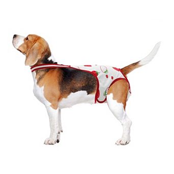 Dog Diapers for Female Dog Washable Reusable with Adjustable Suspender 1 pc