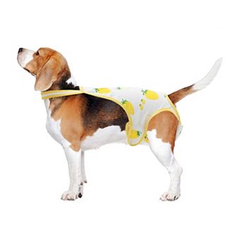 Dog Diapers for Female Dog Washable Reusable with Adjustable Suspender 1 pc