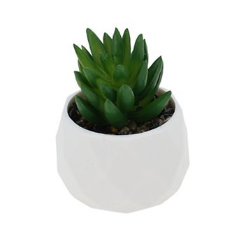 Fake Succulent Plant Type 1 for Room Bathroom Kitchen Decor 1 pc