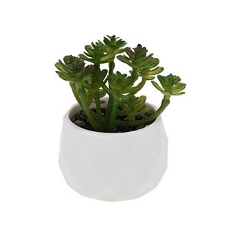 Fake Succulent Plant Type 5 for Room Bathroom Kitchen Decor 1 pc