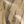 Calfskin Color