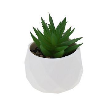 Fake Succulent Plant Type 8 for Room Bathroom Kitchen Decor 1 pc