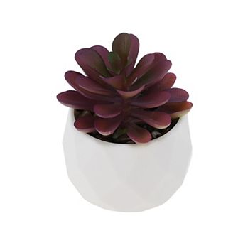 Fake Succulent Plant Type 10 for Room Bathroom Kitchen Decor 1 pc