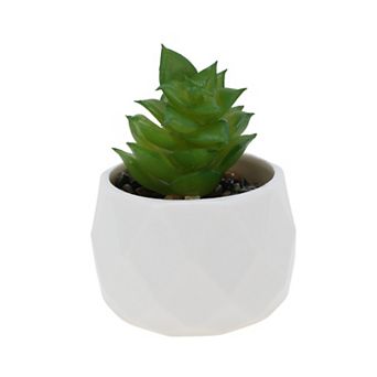 Fake Succulent Plant Type 4 for Room Bathroom Kitchen Decor 1 pc