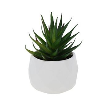 Fake Succulent Plant Type 2 for Room Bathroom Kitchen Decor 1 pc