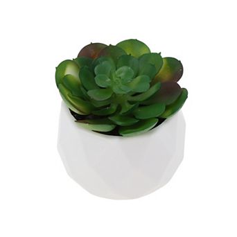 Fake Succulent Plant Type 7 for Room Bathroom Kitchen Decor 1 pc