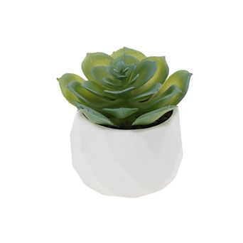 Fake Succulent Plant Type 6 for Room Bathroom Kitchen Decor 1 pc