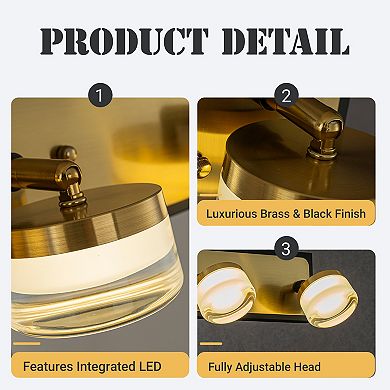 W19" 3-Light Modern Integrated LED Bathroom Vanity Light in Black and Brass Finish