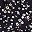 Black White Flowers