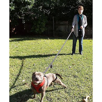 Dual Handle Control Dog Leash