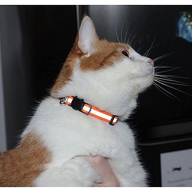 Nylon Cat Collars with Bell