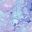Bubbles Purple