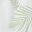 Green Palm Leaves