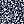 Navy Ditsy Floral