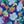 Blue Multi Floral