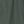 Dark Forest Green