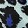 Blue Black