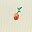 Flower Apricot