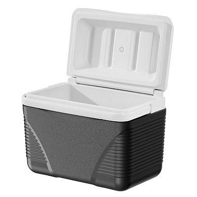 8.5QT Portable Cooler for Picnics, Camping, Beach Trips