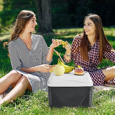 8.5QT Portable Cooler for Picnics, Camping, Beach Trips