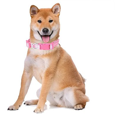 Nylon Reflective Dog Collar Adjustable Pet Collar for Walking and Training