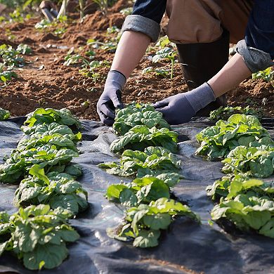 Landscape Weed Barrier Fabric Roll for Garden Beds, Gravel Paths, and Ground Cover