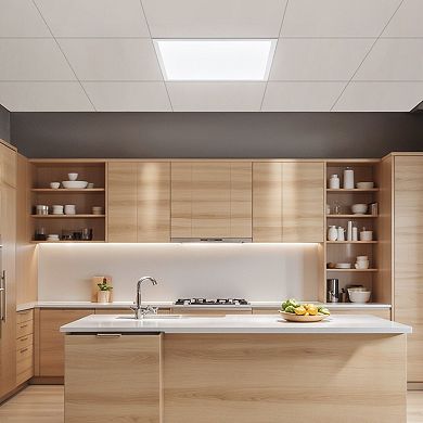 LED Flat Panel Ceiling Light Adjustable Brightness Color Temperature - 4 Pack