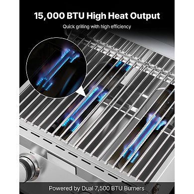 Camping and Patio Tabletop Gas Grill with 2 Burners and Thermometer