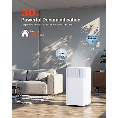 Compact 30-Pint Dehumidifier with Auto, Continuous, and Sleep Modes