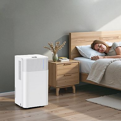 Compact 30-Pint Dehumidifier with Auto, Continuous, and Sleep Modes