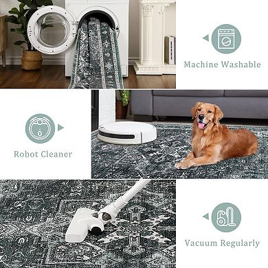 ANIXOL Washable Vintage Non-Slip Area Rug