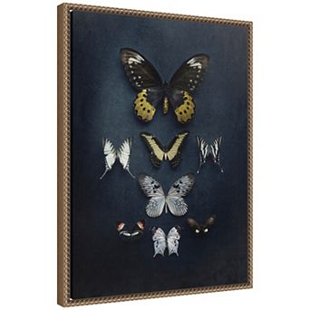 Butterfly Study Dark by Emiko and Mark Franzen F2 Images Framed Canvas Wall Art Print