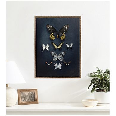 Butterfly Study Dark by Emiko and Mark Franzen F2 Images Framed Canvas Wall Art Print